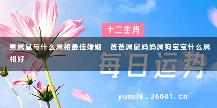 男属鼠与什么属相最佳婚姻 爸爸属鼠妈妈属狗宝宝什么属相好